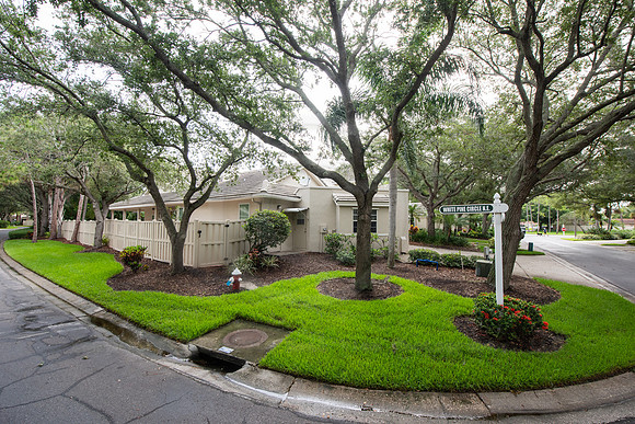 BVP 379 Palm Court Cir-1002