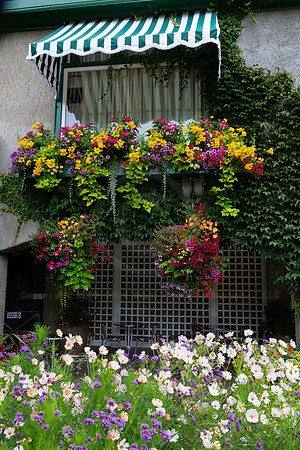 BVP Butchart Gardens-1003