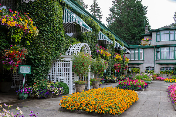 BVP Butchart Gardens-1004