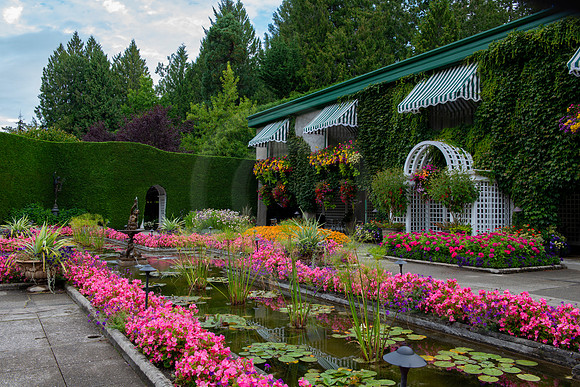 BVP Butchart Gardens-1001