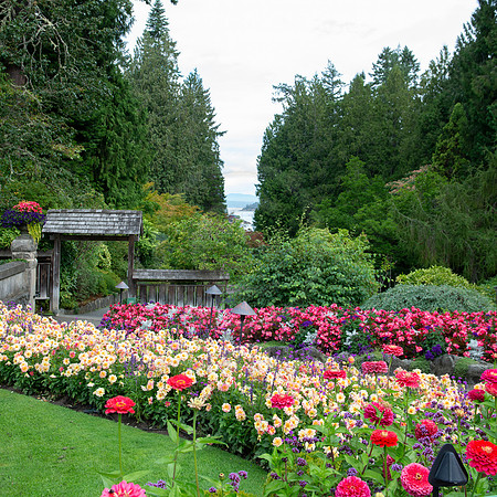 BVP Butchart Gardens-1005