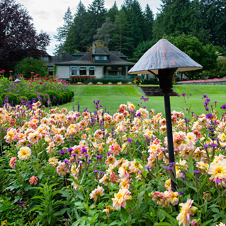 BVP Butchart Gardens-1007