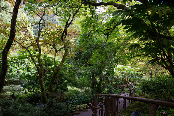 BVP Butchart Gardens-1008