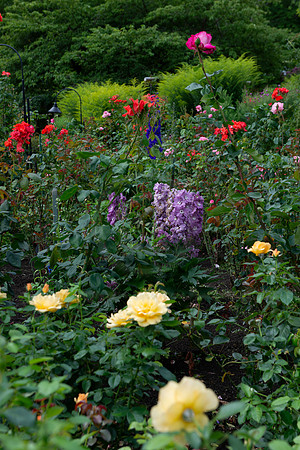 BVP Butchart Gardens-1017