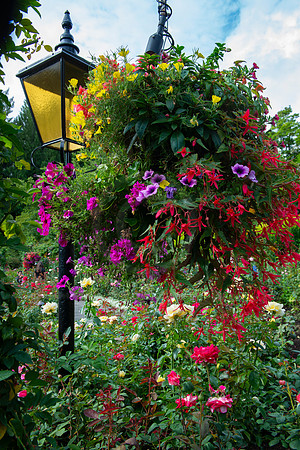 BVP Butchart Gardens-1019