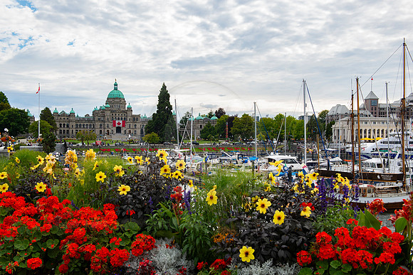 BVP Victoria Canada-2003