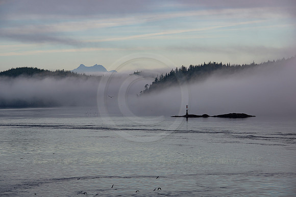 BVP Inside Passage-4015