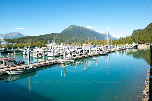 BVP 2025 Sitka-7001