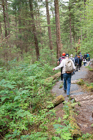 BVP 2025 Sitka-7005