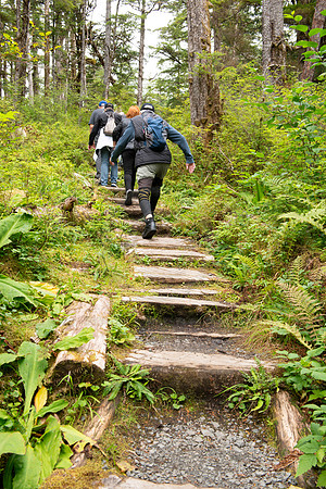BVP 2025 Sitka-7002