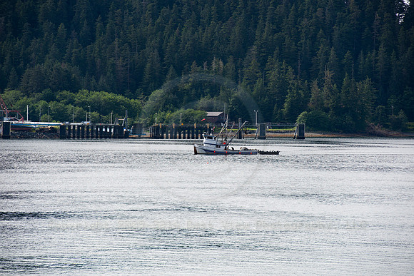 BVP 2025 Sitka-7018