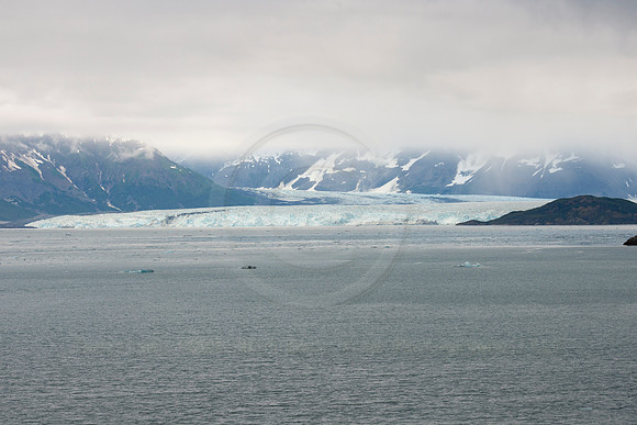 BVP 2025 Hubbard Glacier-8006