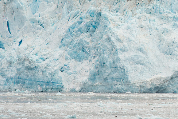 BVP 2025 Hubbard Glacier-8019
