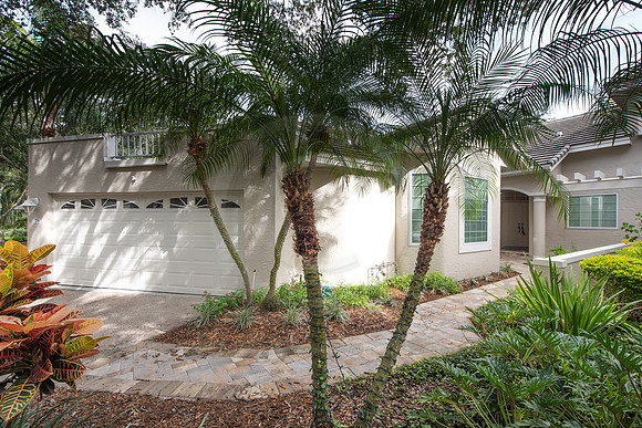 BVP 379 Palm Court Cir-1001