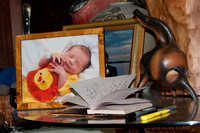 Sip and See Noah